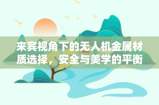 来宾视角下的无人机金属材质选择，安全与美学的平衡？