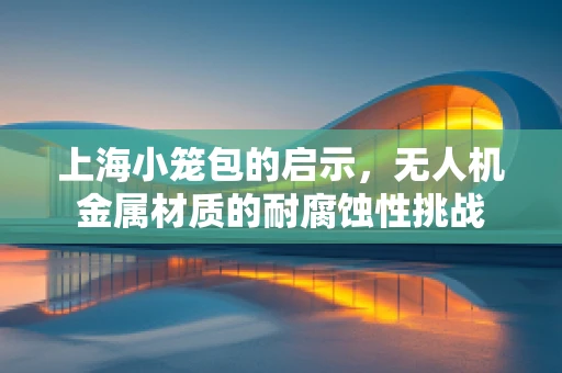上海小笼包的启示，无人机金属材质的耐腐蚀性挑战