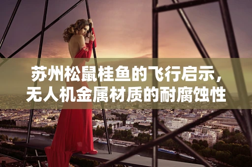 苏州松鼠桂鱼的飞行启示，无人机金属材质的耐腐蚀性挑战