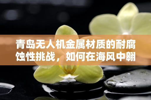 青岛无人机金属材质的耐腐蚀性挑战，如何在海风中翱翔？