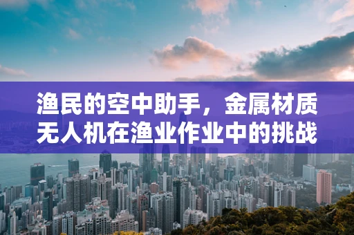渔民的空中助手，金属材质无人机在渔业作业中的挑战与机遇？
