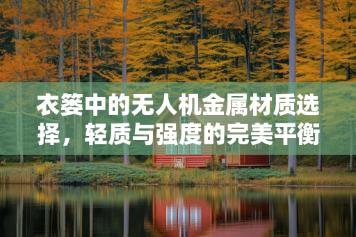 衣篓中的无人机金属材质选择，轻质与强度的完美平衡