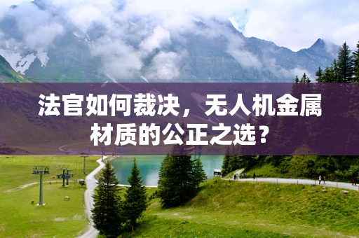 法官如何裁决，无人机金属材质的公正之选？