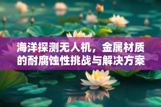 海洋探测无人机，金属材质的耐腐蚀性挑战与解决方案