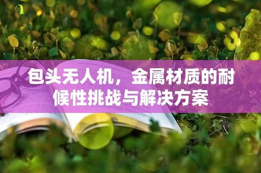 包头无人机，金属材质的耐候性挑战与解决方案
