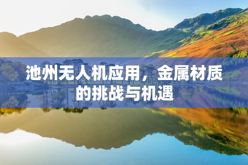 池州无人机应用，金属材质的挑战与机遇