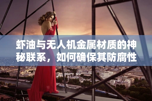 虾油与无人机金属材质的神秘联系，如何确保其防腐性能？