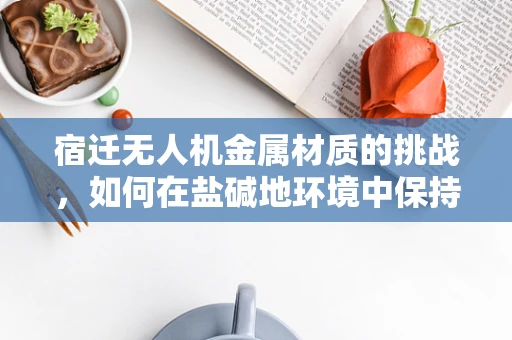 宿迁无人机金属材质的挑战，如何在盐碱地环境中保持性能？