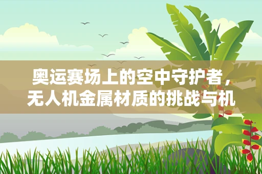 奥运赛场上的空中守护者，无人机金属材质的挑战与机遇