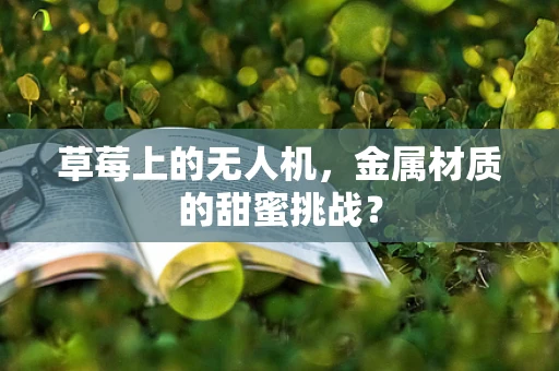 草莓上的无人机，金属材质的甜蜜挑战？