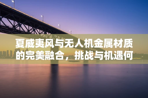 夏威夷风与无人机金属材质的完美融合，挑战与机遇何在？