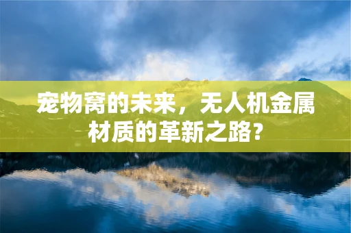 宠物窝的未来，无人机金属材质的革新之路？
