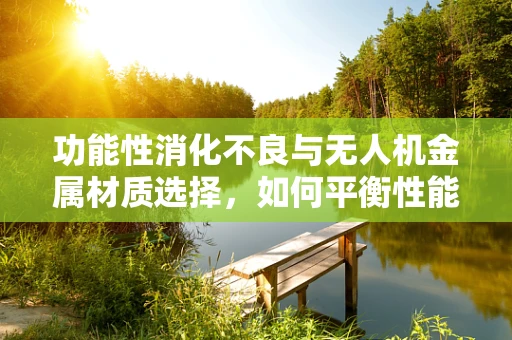 功能性消化不良与无人机金属材质选择，如何平衡性能与患者健康？