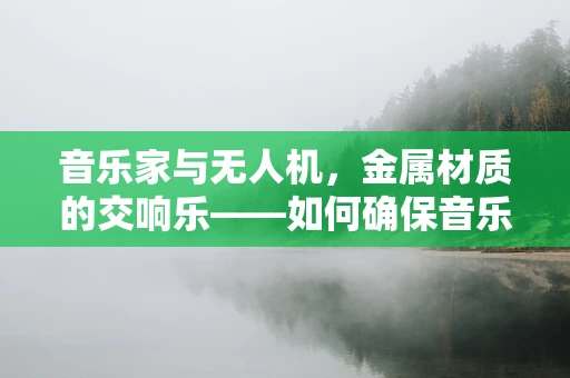 音乐家与无人机，金属材质的交响乐——如何确保音乐节现场的无人机安全且不扰民？