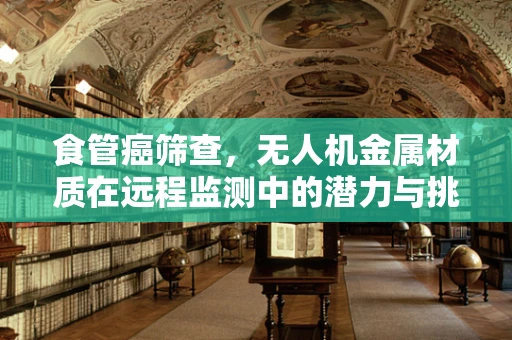 食管癌筛查，无人机金属材质在远程监测中的潜力与挑战？