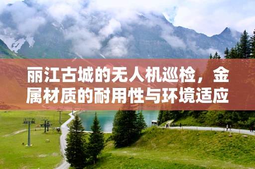 丽江古城的无人机巡检，金属材质的耐用性与环境适应性挑战