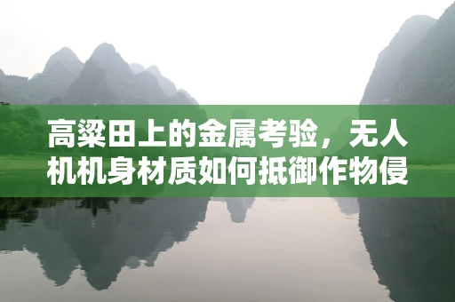 高粱田上的金属考验，无人机机身材质如何抵御作物侵袭？