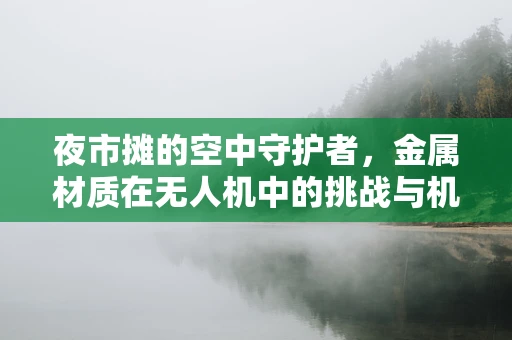 夜市摊的空中守护者，金属材质在无人机中的挑战与机遇？