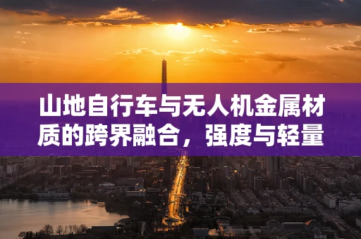 山地自行车与无人机金属材质的跨界融合，强度与轻量化的完美平衡？