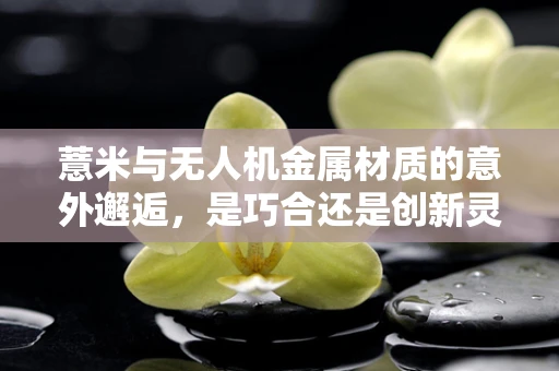 薏米与无人机金属材质的意外邂逅，是巧合还是创新灵感？
