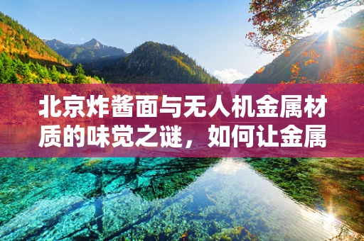 北京炸酱面与无人机金属材质的味觉之谜，如何让金属也入味？