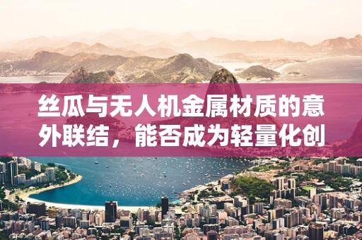 丝瓜与无人机金属材质的意外联结，能否成为轻量化创新的关键？
