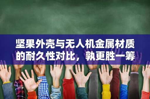 坚果外壳与无人机金属材质的耐久性对比，孰更胜一筹？