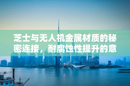 芝士与无人机金属材质的秘密连接，耐腐蚀性提升的意外之选？