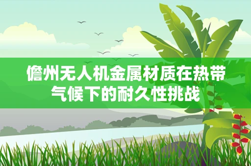儋州无人机金属材质在热带气候下的耐久性挑战