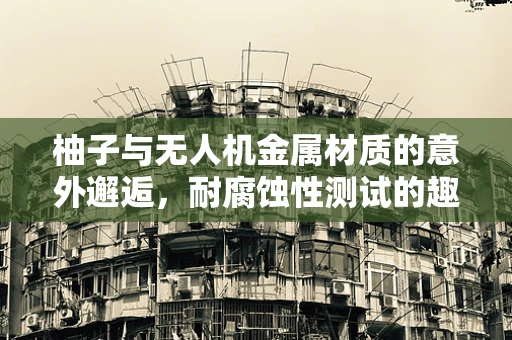 柚子与无人机金属材质的意外邂逅，耐腐蚀性测试的趣味联想