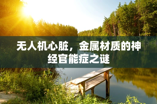 无人机心脏，金属材质的神经官能症之谜