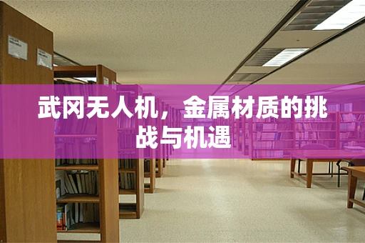 武冈无人机，金属材质的挑战与机遇