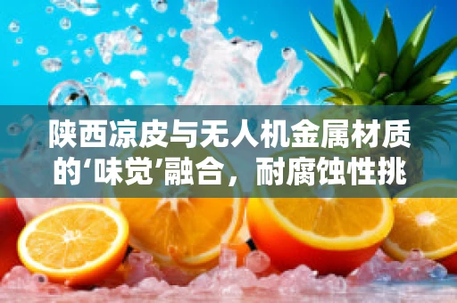 陕西凉皮与无人机金属材质的‘味觉’融合，耐腐蚀性挑战