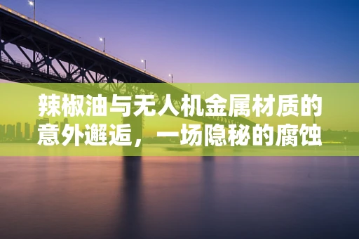 辣椒油与无人机金属材质的意外邂逅，一场隐秘的腐蚀挑战？