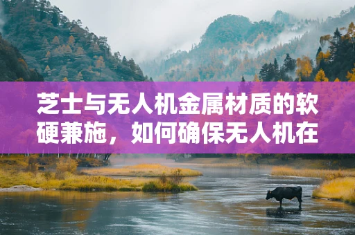 芝士与无人机金属材质的软硬兼施，如何确保无人机在复杂环境中的稳定飞行？