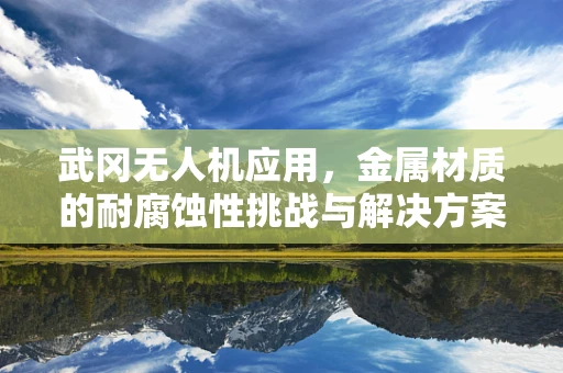 武冈无人机应用，金属材质的耐腐蚀性挑战与解决方案