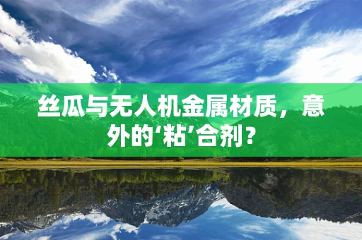 丝瓜与无人机金属材质，意外的‘粘’合剂？