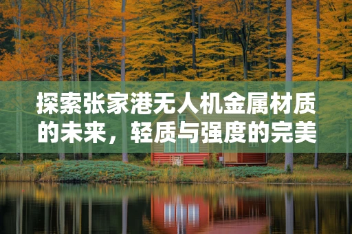 探索张家港无人机金属材质的未来，轻质与强度的完美平衡