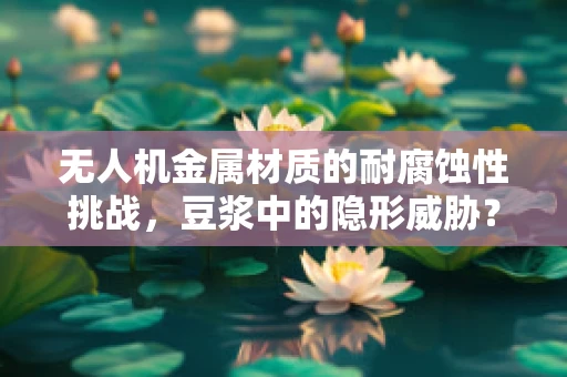无人机金属材质的耐腐蚀性挑战，豆浆中的隐形威胁？