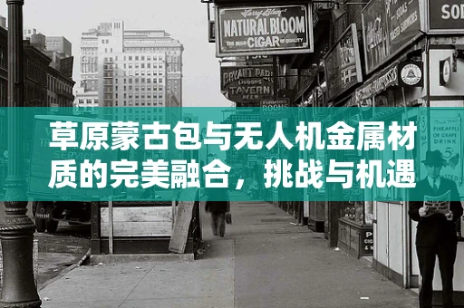 草原蒙古包与无人机金属材质的完美融合，挑战与机遇