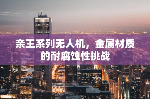 亲王系列无人机，金属材质的耐腐蚀性挑战