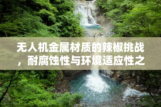 无人机金属材质的辣椒挑战，耐腐蚀性与环境适应性之谜