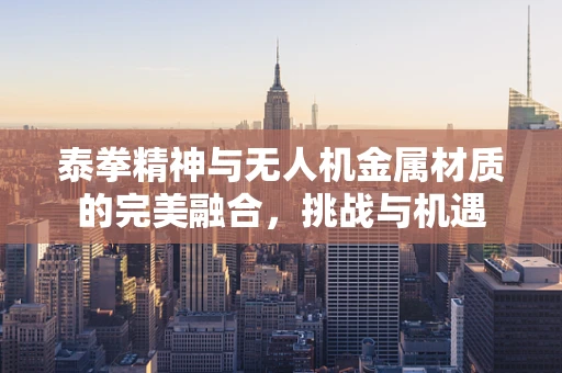 泰拳精神与无人机金属材质的完美融合，挑战与机遇
