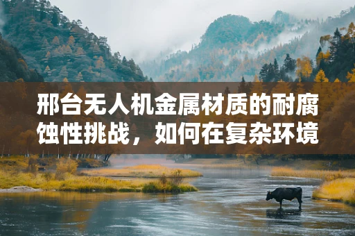 邢台无人机金属材质的耐腐蚀性挑战，如何在复杂环境中保持飞行稳定？