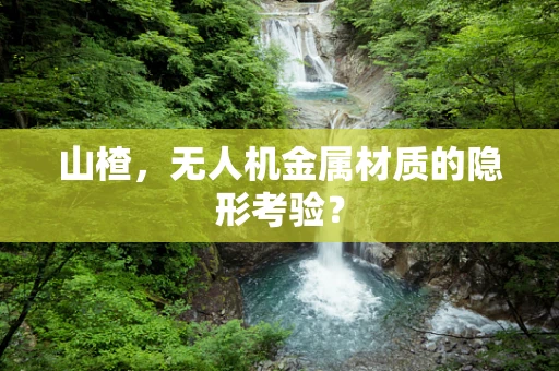 山楂，无人机金属材质的隐形考验？