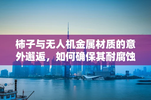 柿子与无人机金属材质的意外邂逅，如何确保其耐腐蚀性？
