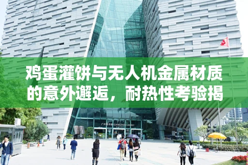 鸡蛋灌饼与无人机金属材质的意外邂逅，耐热性考验揭秘