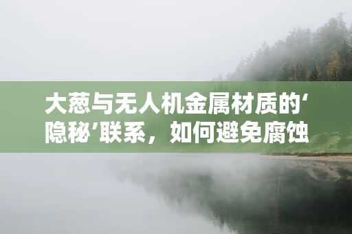 大葱与无人机金属材质的‘隐秘’联系，如何避免腐蚀的奇妙策略？