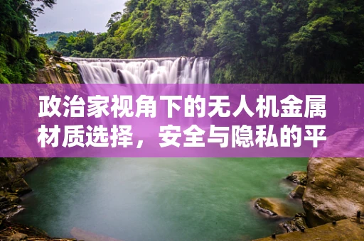 政治家视角下的无人机金属材质选择，安全与隐私的平衡