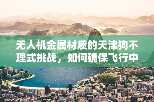 无人机金属材质的天津狗不理式挑战，如何确保飞行中的美食安全？